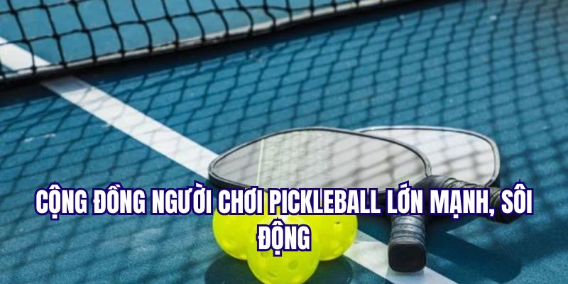 Pickleball là gì mà thu hút được nhiều người chơi đến thế?