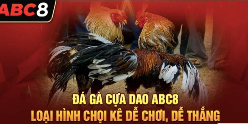 Đa dạng các hình thức đá gà được nhà cái cung cấp đến người thích chọi kê