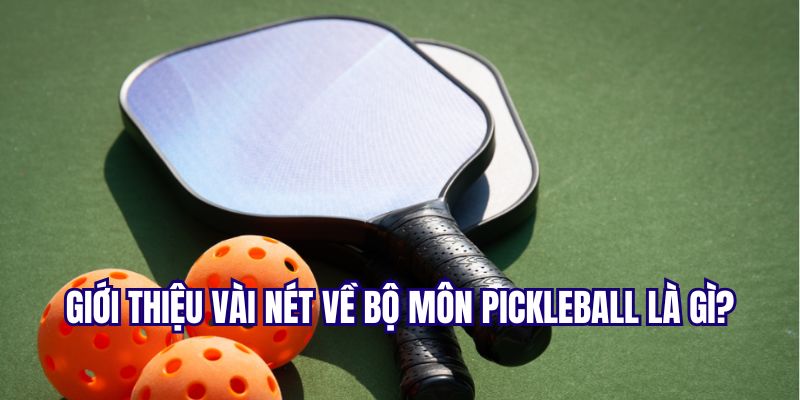 Sơ lược đôi nét trò chơi pickleball là gì?